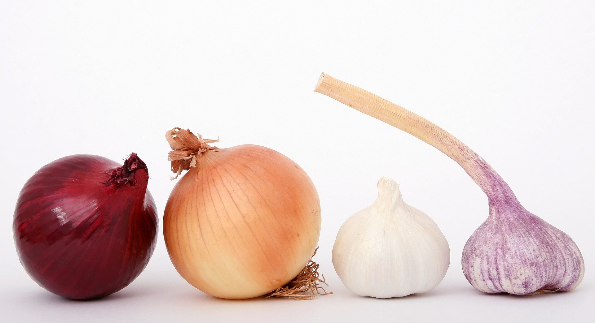 onions - poisonous food for dogs