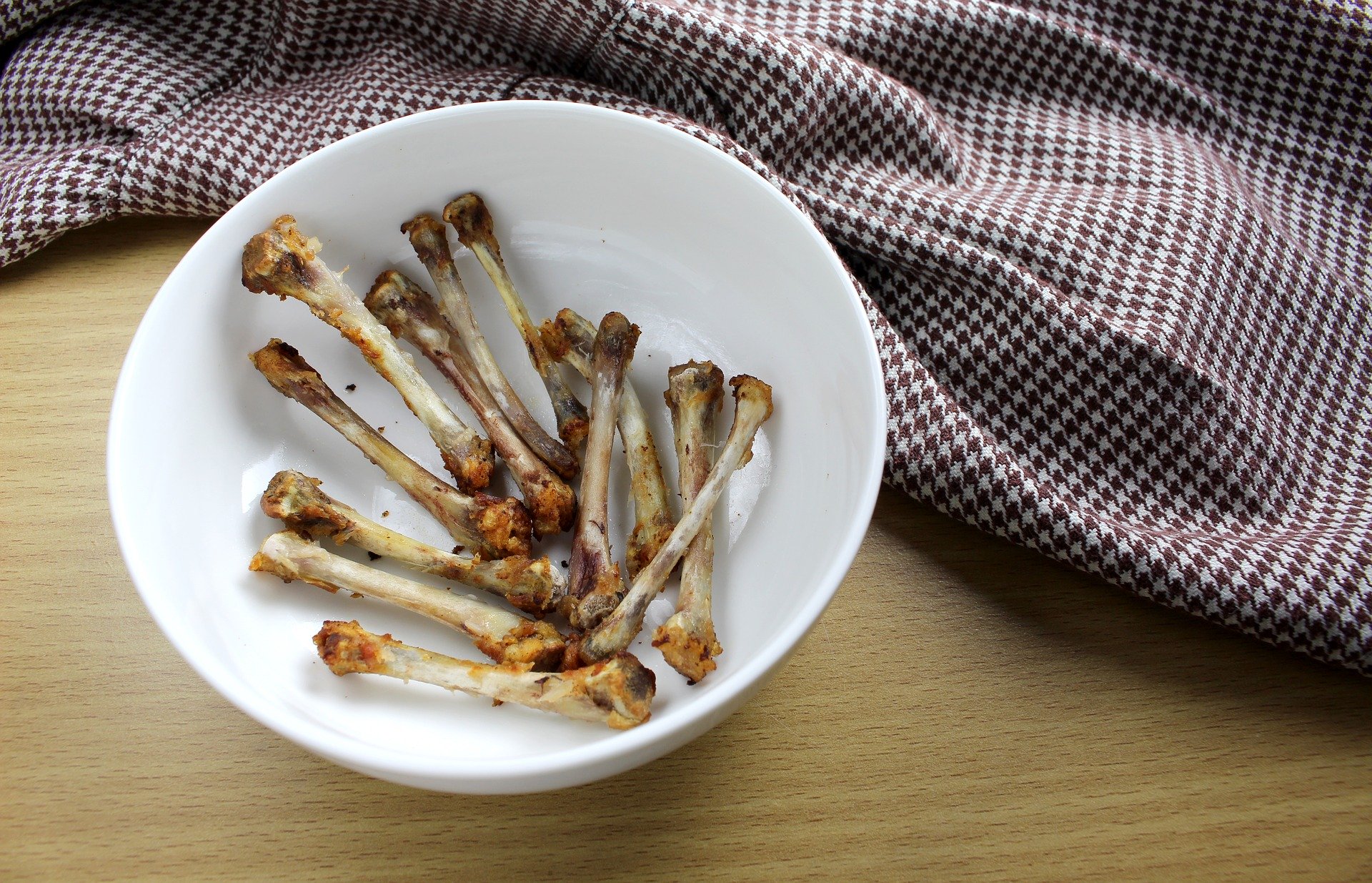 chicken bones - poisonous food for dogs