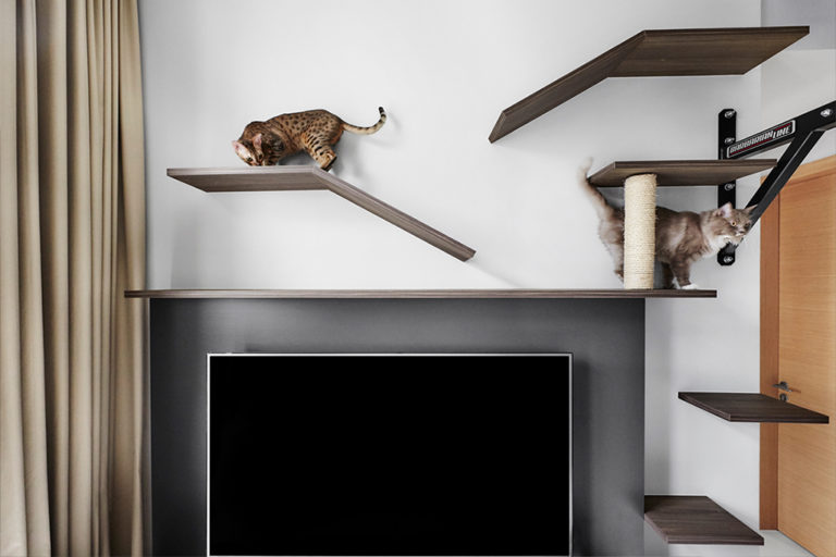 Cat-Friendly Condominium Which Maximises On Vertical Space