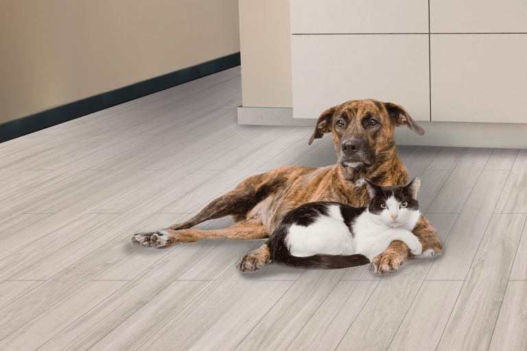 Pet-friendly Floor Option – Stylish and Hardy Luxury Vinyl Flooring