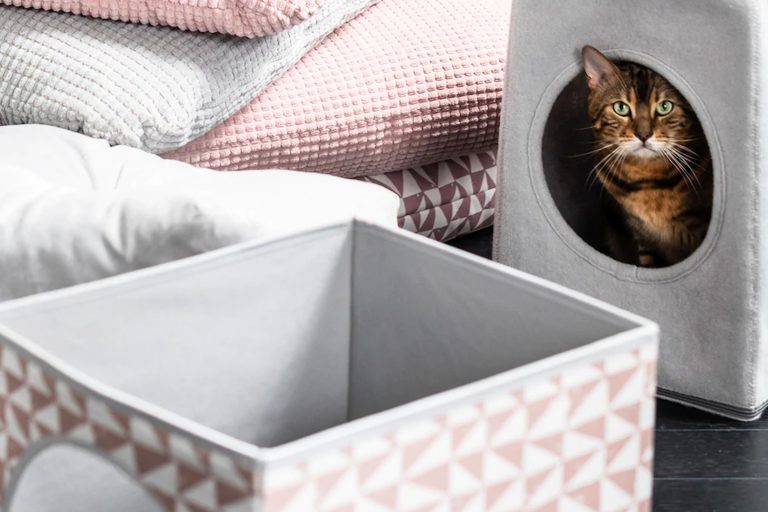 IKEA Singapore now offers furniture for cats and dogs